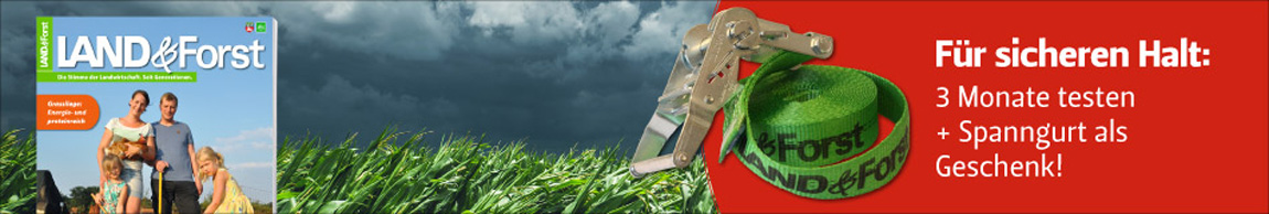 Banner_LUF_Sturmfest Banner_LUF_Sturmfest