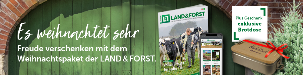 202166_LuF_ Header_Landingpage_Weihnachten_1000x250 202166_LuF_ Header_Landingpage_Weihnachten_1000x250