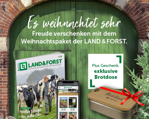 202166_LuF_Header_Landingpage_Weihnachten_500x400 202166_LuF_Header_Landingpage_Weihnachten_500x400