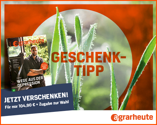 202201-02_AHEU_Banner_Landingpage_Geschenkabo_Weihnachten_Mobile_500x400 202201-02_AHEU_Banner_Landingpage_Geschenkabo_Weihnachten_Mobile_500x400
