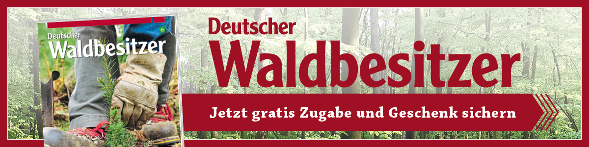 211875-01_DW_Herbstabo_Landingpage_1200x300 211875-01_DW_Herbstabo_Landingpage_1200x300