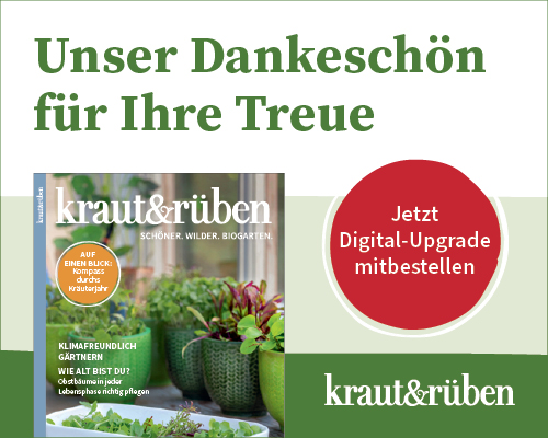 212499-02_KUR Shop-Slider Danke schön 212499-02_KUR Shop-Slider Danke schön