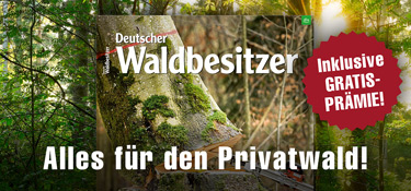 241527-02_DW-Header-Landingpage-Herbstmailing-2024_375x175