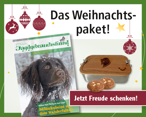 241972-02_JGH_Header_Website_Weihnachtsabo_2024_500x400