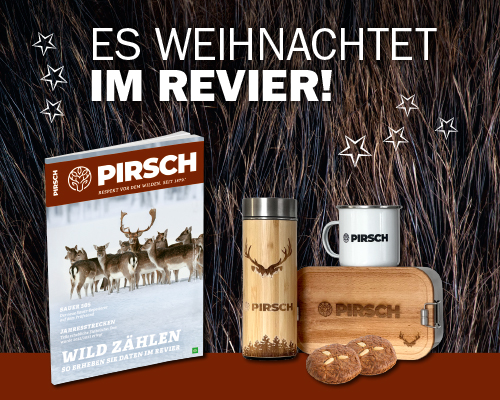 241974-02_PI_Header_Website_Weihnachtsabo_2024_500x400