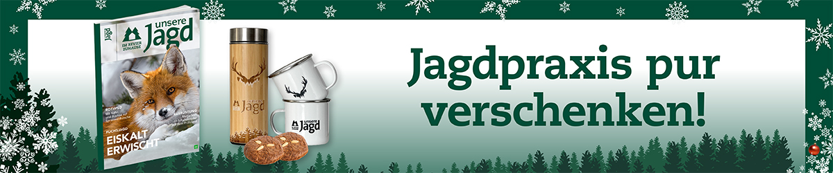 241975-01_uJ - Banner Weihnachtsabo 2024_1200x250