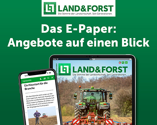 260150-02_LuF_Header_Landingpage_500x400